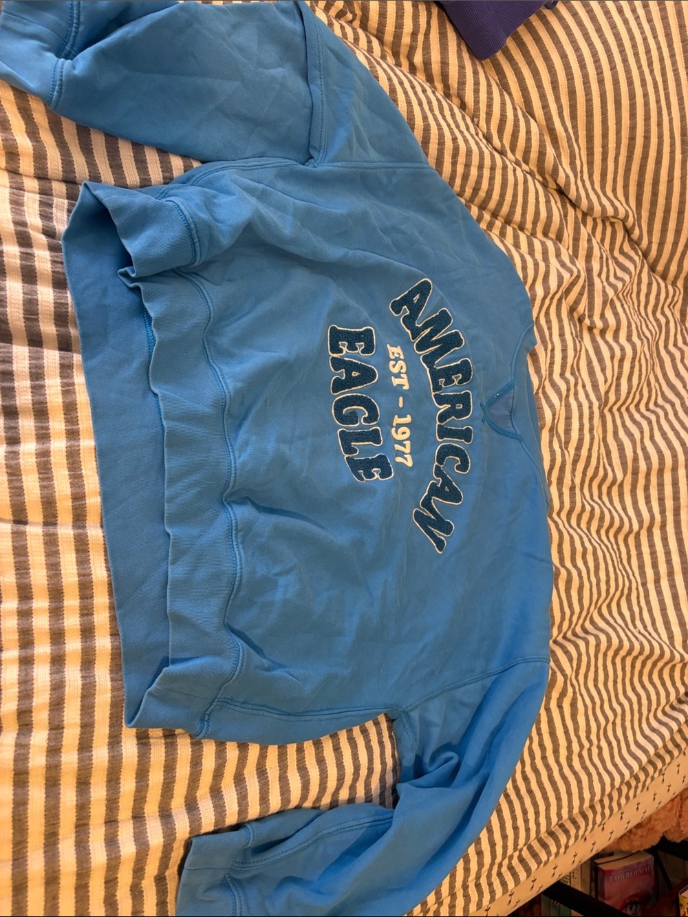 American Eagle Outfitters Bright Blue Kids Crewneck Sweatshirt with Logo